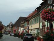 Endingen(Breisgau)