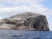 Ehemalige Gefängnisinsel Bass Rock mit 400000 Seevögeln